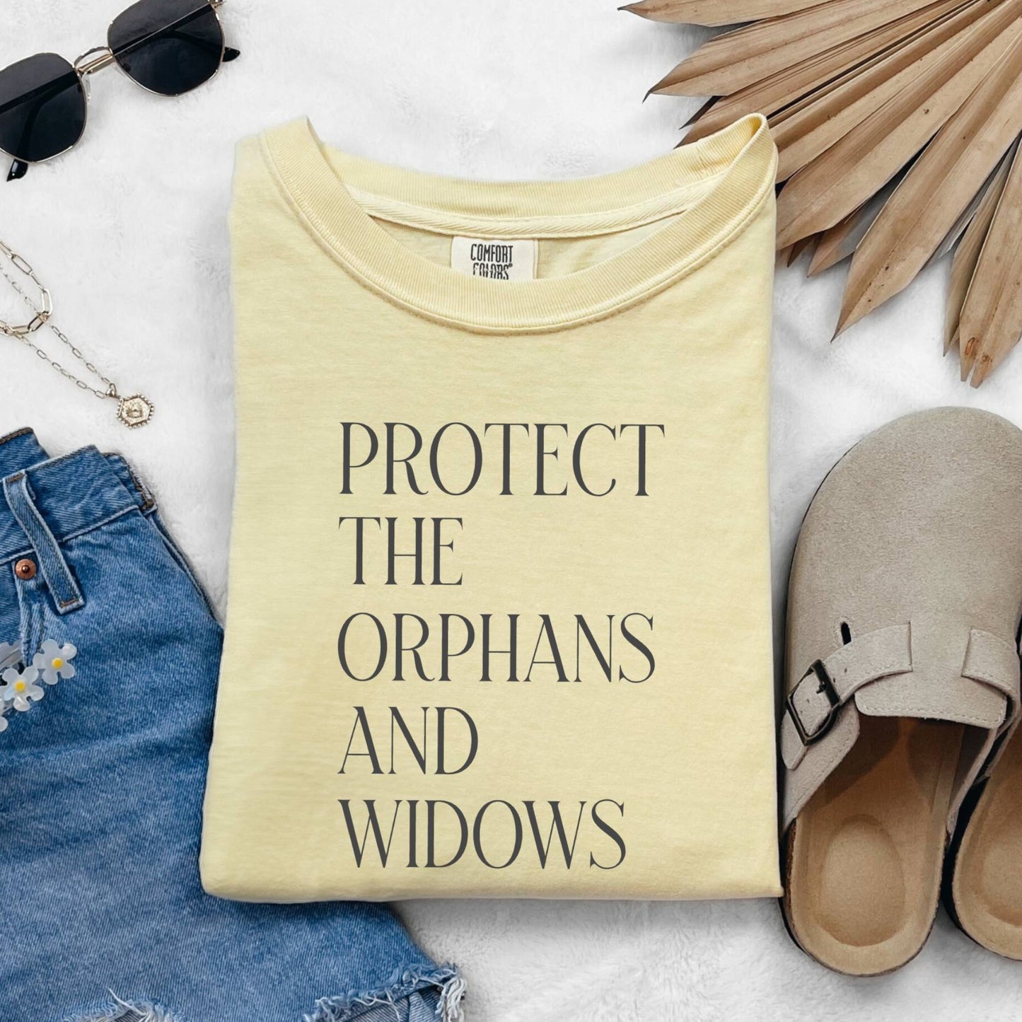 Protect the Orphans and Widows T-Shirt